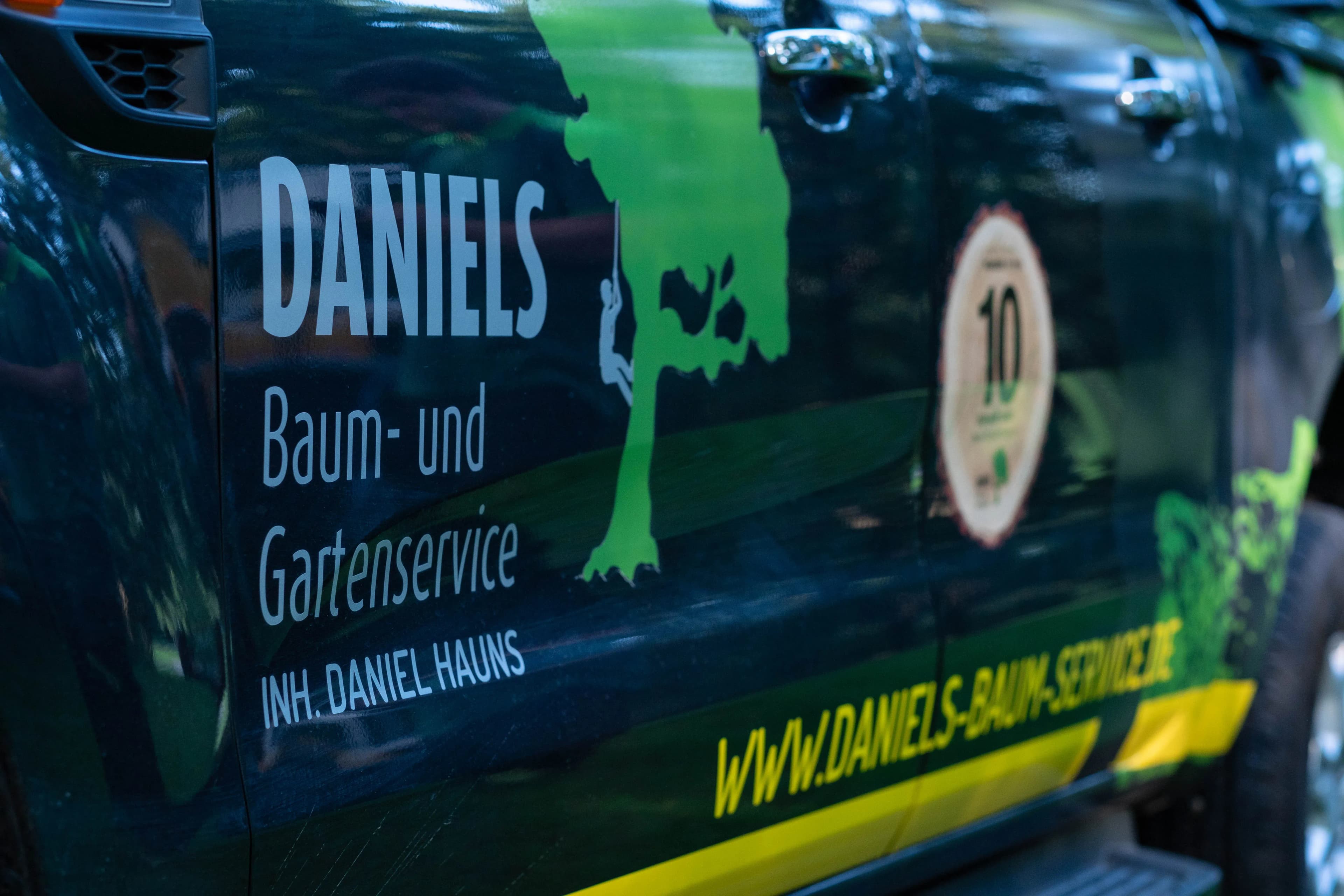 Hochwertige Baumpflege in Aachen - Ihr Experte vor Ort