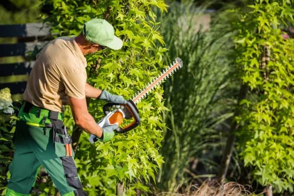 Warum ist regelmäßige Gartenpflege wichtig?