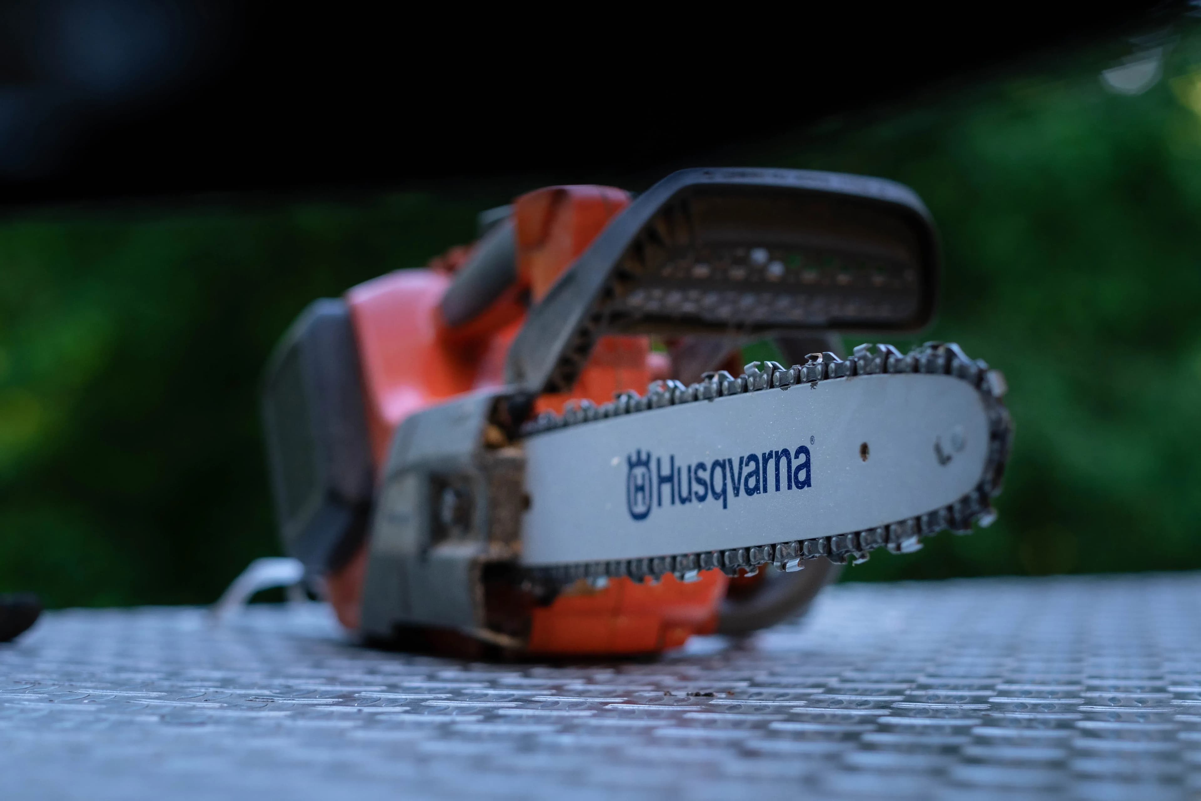 Erstklassige Baumpflege in Offenburg