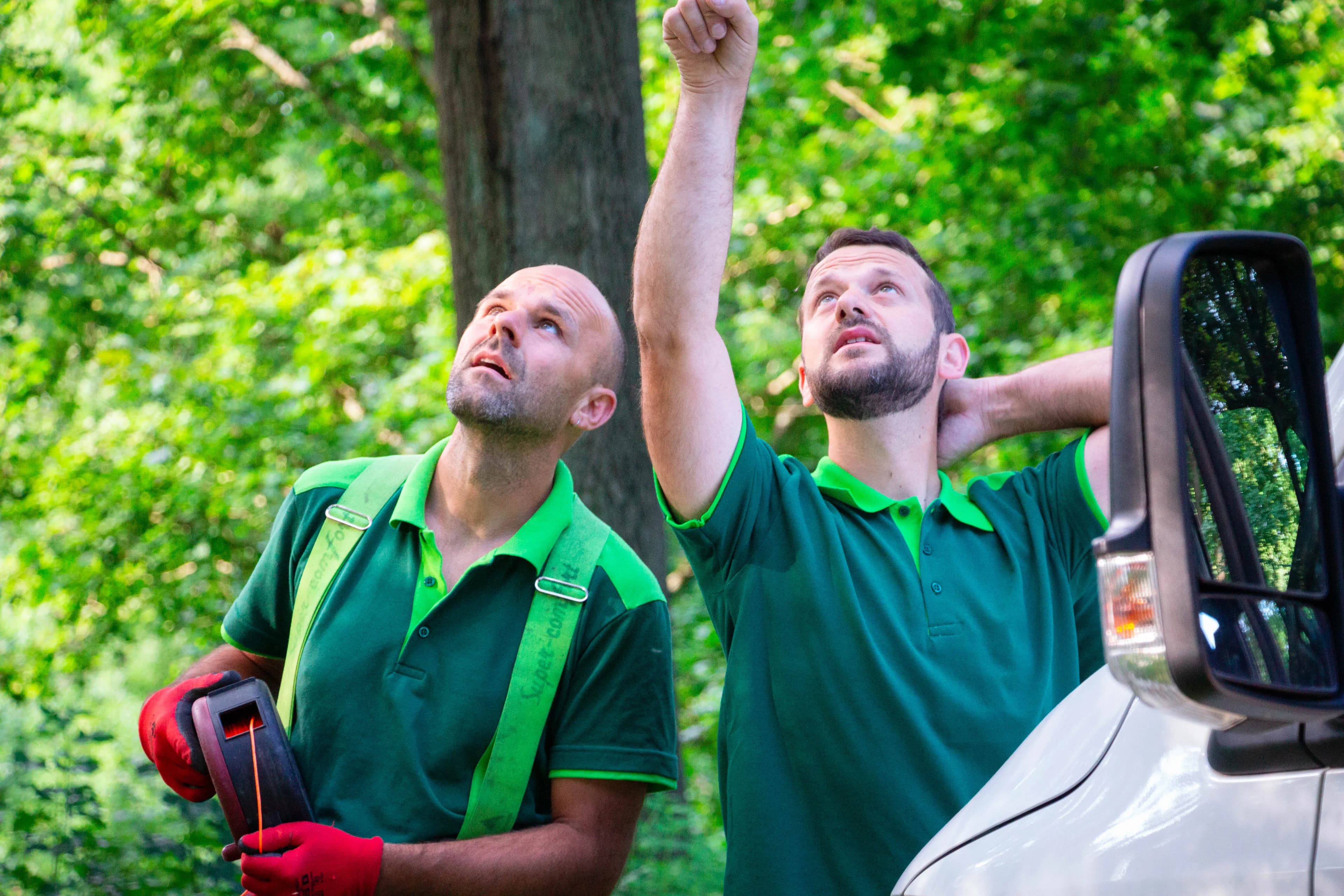 Was ist die Baumkontrolle im Sinne der Verkehrssicherungspflicht?