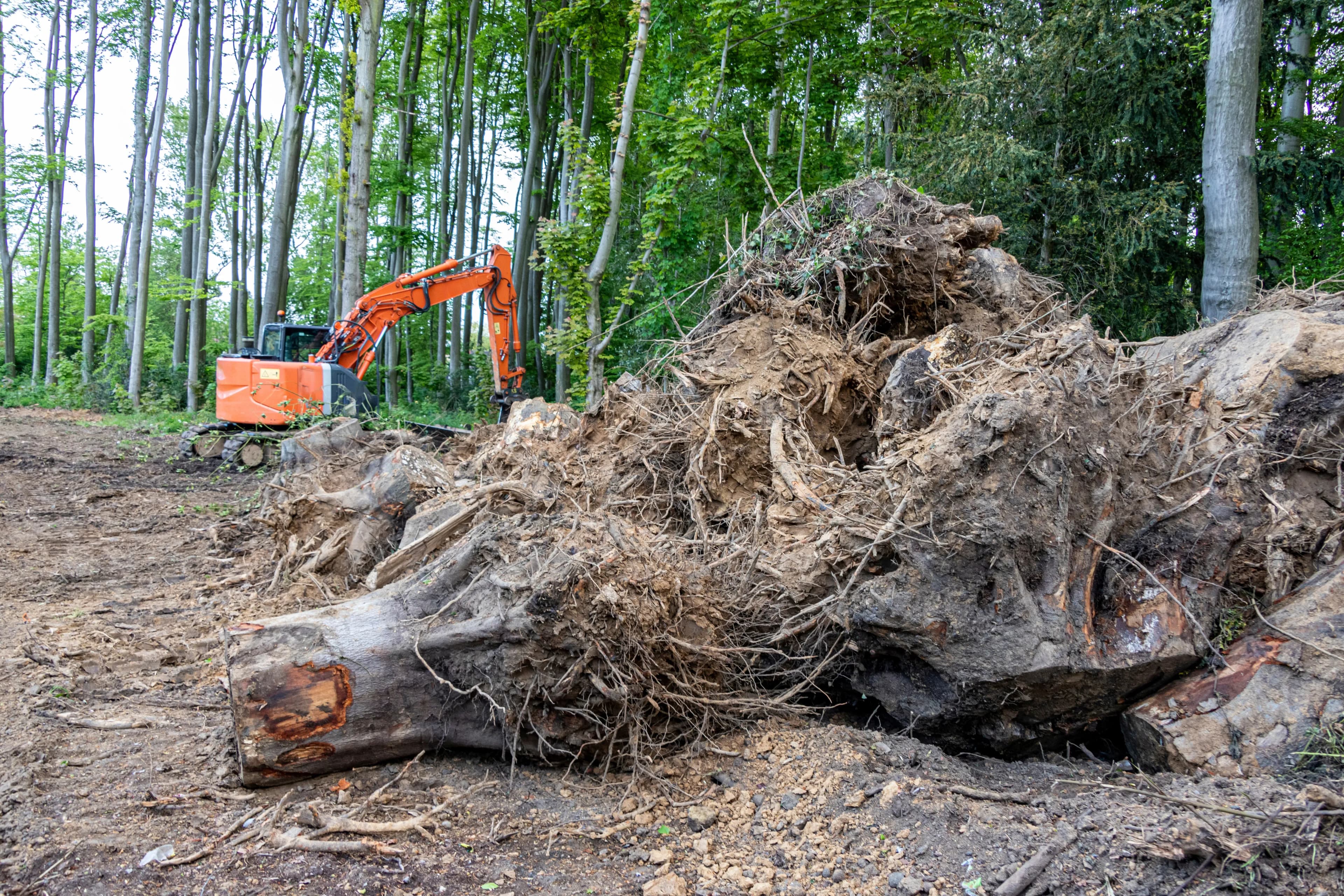 Umweltbaubegleitung bei Bauprojekten in Baden-Baden buchen