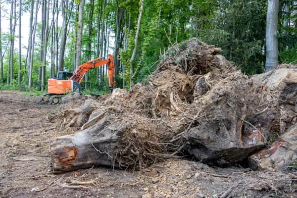 Umweltbaubegleitung bei Bauprojekten in Baden-Baden buchen