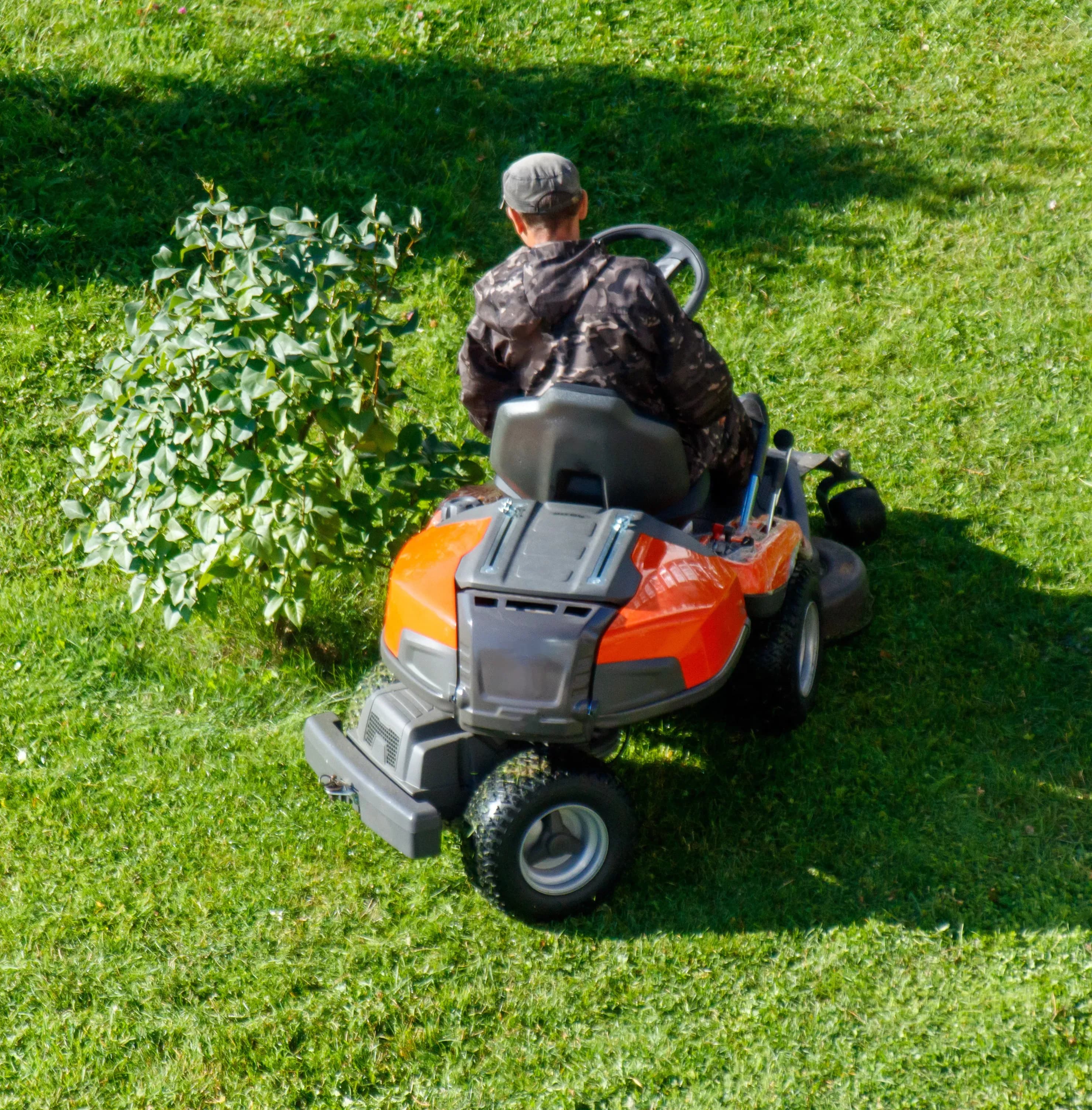 Professionelle Gartenpflege für große Flächen in Kehl